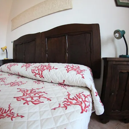 Nora And 게스트하우스