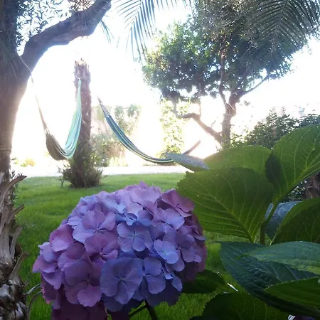 Nora And Guest house Pula